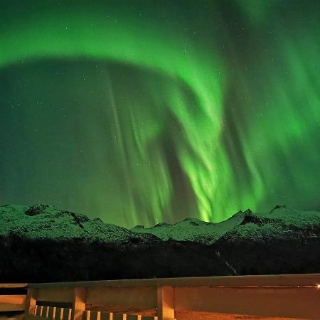 Unique And Charming House At The Foot Of Lofoten'S Highest Mountain سفولفير المظهر الخارجي الصورة