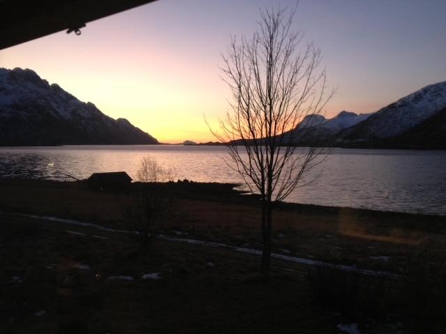Unique And Charming House At The Foot Of Lofoten'S Highest Mountain سفولفير المظهر الخارجي الصورة
