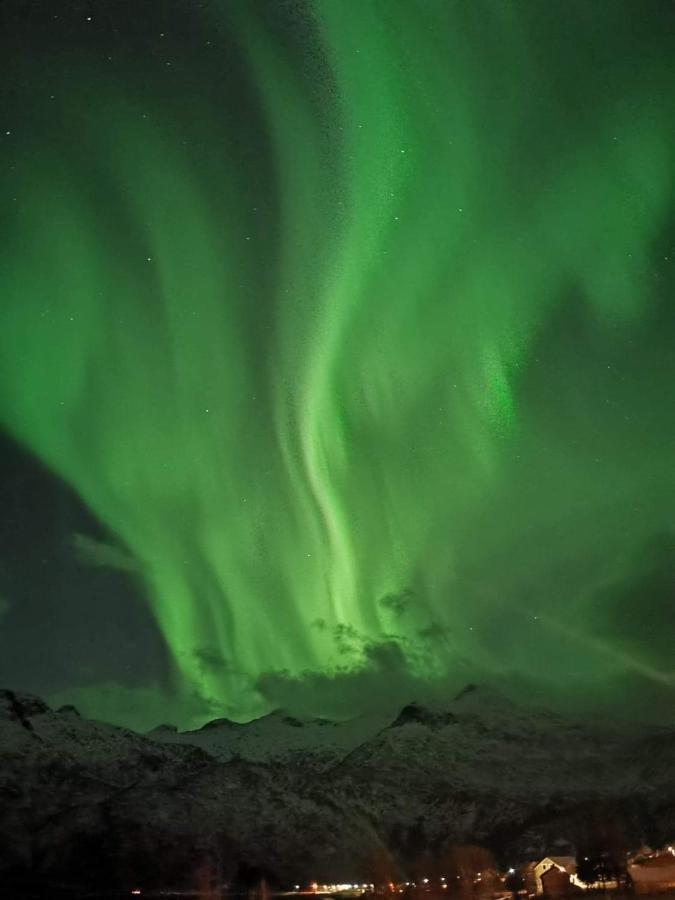 Unique And Charming House At The Foot Of Lofoten'S Highest Mountain سفولفير المظهر الخارجي الصورة
