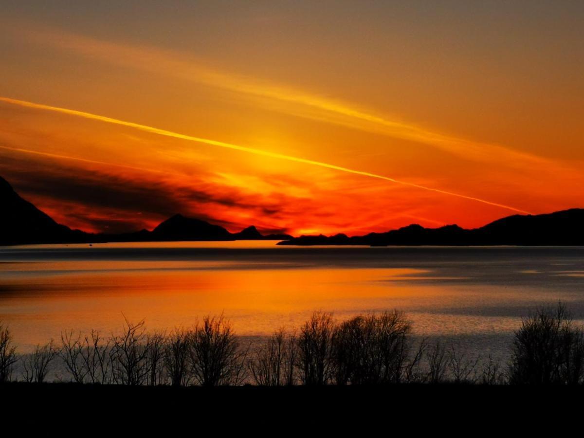 Unique And Charming House At The Foot Of Lofoten'S Highest Mountain سفولفير المظهر الخارجي الصورة