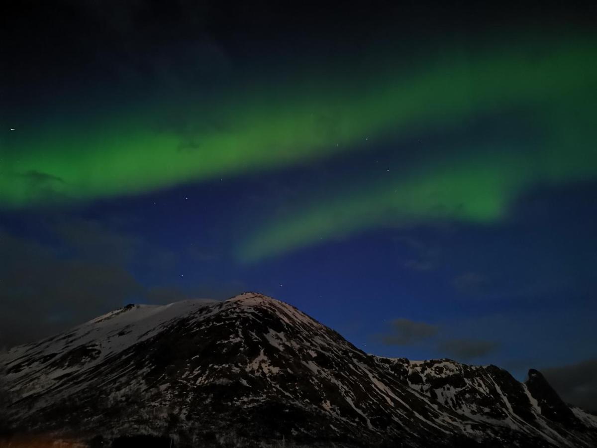 Unique And Charming House At The Foot Of Lofoten'S Highest Mountain سفولفير المظهر الخارجي الصورة