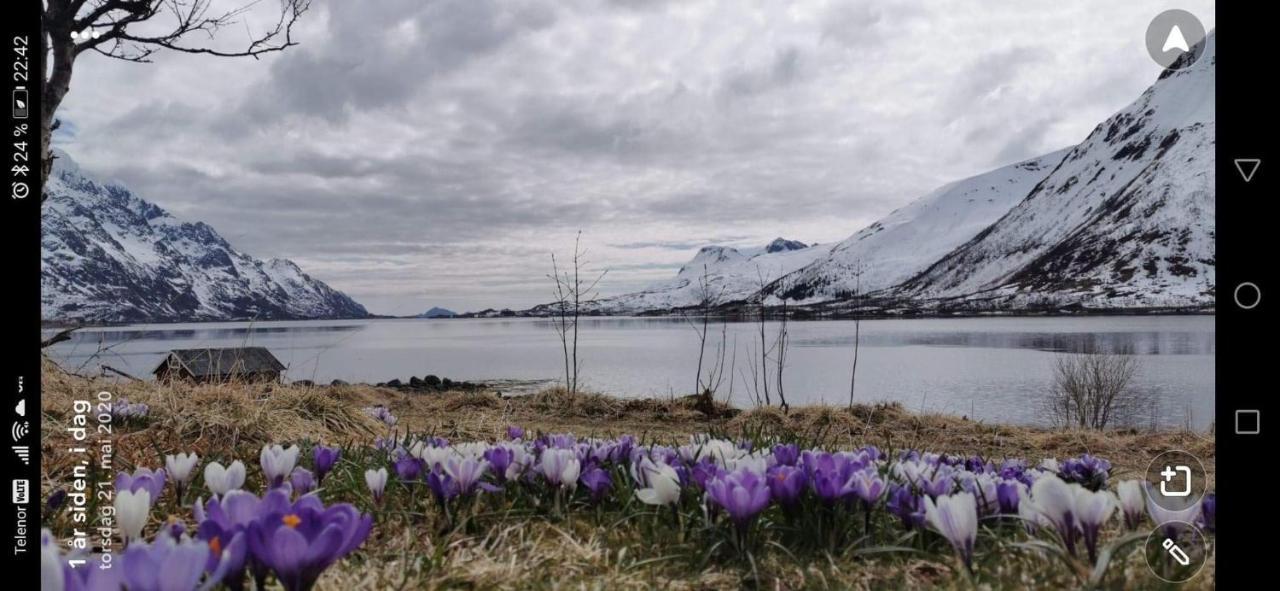 Unique And Charming House At The Foot Of Lofoten'S Highest Mountain سفولفير المظهر الخارجي الصورة